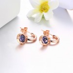 Classic Crystal Drop Earrings in Silver Tone
