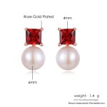 Elegant Cubic Zirconia and Imitation Pearl Stud Earrings for Women