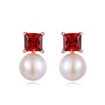 Elegant Cubic Zirconia and Imitation Pearl Stud Earrings for Women