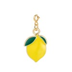 Fruit Pendant Charms for DIY Jewelry Making - Pineapple, Lemon, Avocado, Apple Shapes