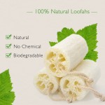Breathable Natural Loofah Multi-Purpose Eco-Friendly Body Shower Sponge Exfoliating Home Cleaning Brush Skin Stain Removal
