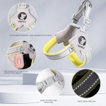 Waterproof Reflective Breathable Dog Harness Escape Proof No Pull Adjustable Pet Vest Soft Mesh Chest Strap Small Medium Large Dogs