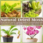 Washable Sphagnum compressed packaging absorbs water expands used orchids carnivorous plants dry moss plant mixtures reptile habitats
